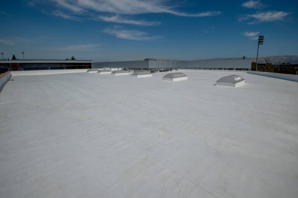 Best Roof Coating and Sealing  in Ringgold, LA